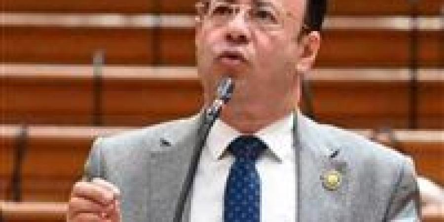 نائب بمناقشات مزاولة مهنة الصيدلة: يجب مواجهة سلاسل الصيدليات ووضع حد للأزمة