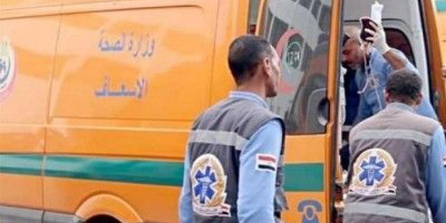 مصرع شخص وإصابة 2 آخرين صدمهم قطار بالقليوبية