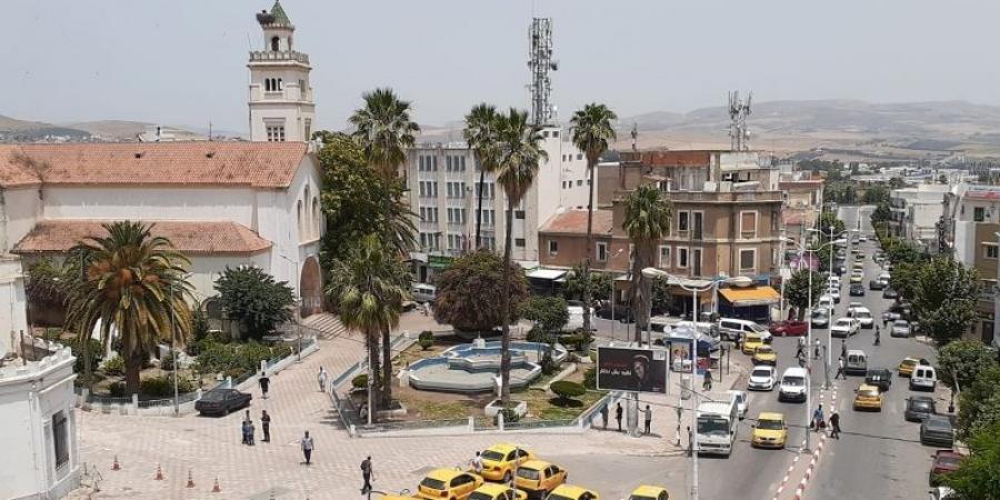 يوم حقلي تطبيقي بباجة احياء لعيد الفلاحة حول "تحسين زراعة وانتاجية الحبوب بالشمال"