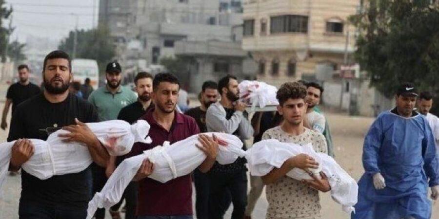 ارتفاع حصيلة الشهداء في قطاع غزة إلى 52، 862 والإصابات إلى 119، 648 منذ بدء العدوان