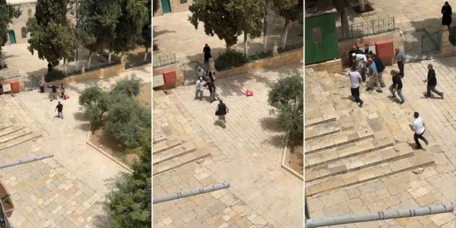 حراس المسجد الأقصى يمنعون مستوطنين من تهريب خروف لذبحه في ساحات المسجد