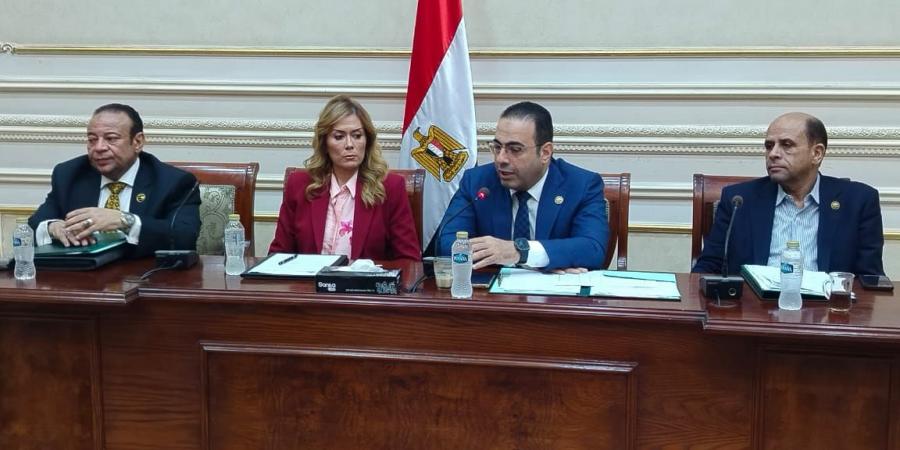 منارة لصقل المهارات ..شباب النواب توافق علي الموازنة الجديدة الأكاديمية الوطنية للتدريب