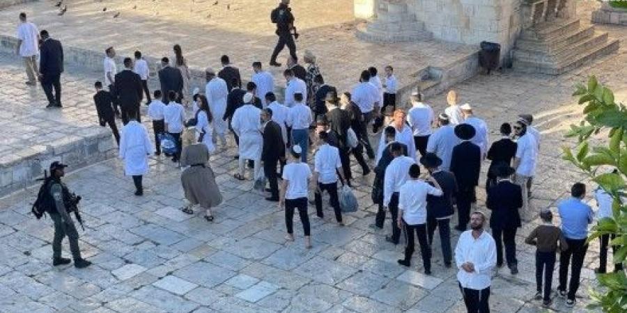 عشرات الصهاينة اقتحموا باحاتات المسجد الاقصى