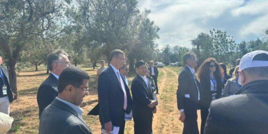 وزير الزراعة يشارك في زيارة حقلية للاطلاع على مزارع الزيتون الإيطالية المصابة ببكتريا الزيليلا