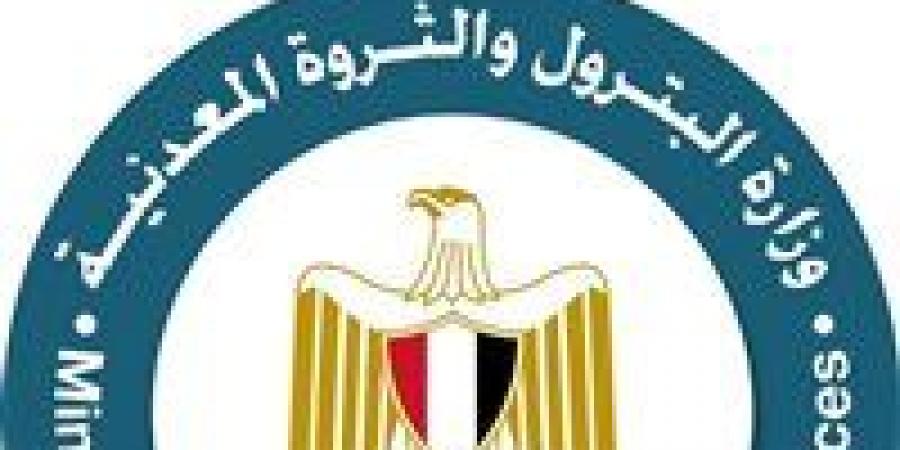 البترول تعلن فتح باب تقديم المستندات لصرف تعويضات طلمبات البنزين
