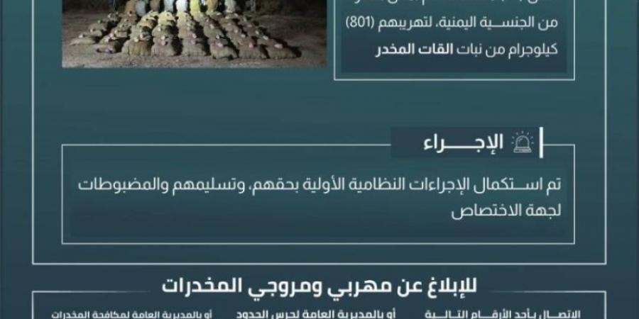 حرس الحدود بجازان يقبض على 24 مخالفًا لنظام أمن الحدود لتهريبهم 801 كيلوجرامٍ من نبات القات المخدر