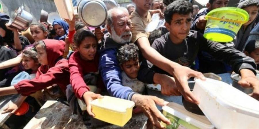 بعد 19 شهرا حرب.. خطر المجاعة في غزة في مستوى «حرج»