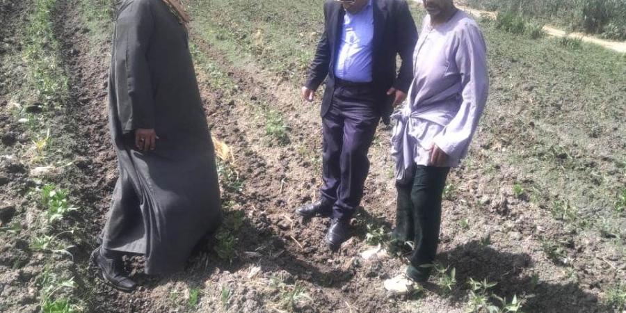 وكيل الزراعة يفقد محاصيل الكراوية والباميا والبطاطا بمركز أبو حمص