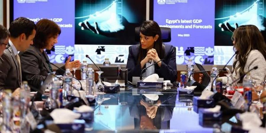 «المشاط»: تنفيذ صارم لحوكمة الاستثمارات العامة