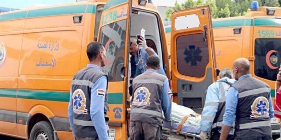 إصابة 9 أشخاص في حادث تصادم على طريق القاهرة - الفيوم