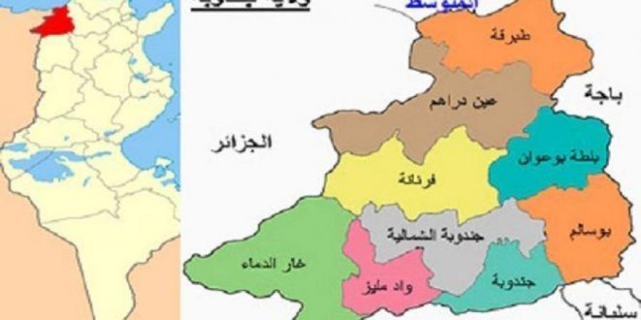 جندوبة: بلدية بوسالم تزود حي النور بحاويات في نطاق تحسين الوضع البيئي