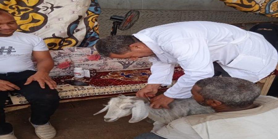مستقبل وطن ينظم قافلة بيطرية بمركز الوقف لخدمة المزارعين والمربين