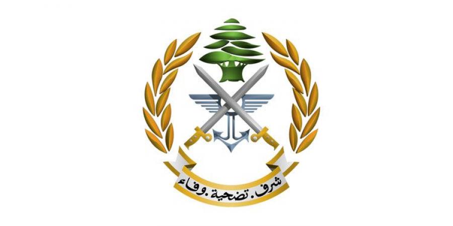الجيش: دهم وتوقيف أشخاص لارتكابهم جرائم مختلفة