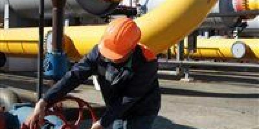 روسيا تستهدف إنشاء محطات غاز مسال بمصر لدعم استيراد 160 شحنة