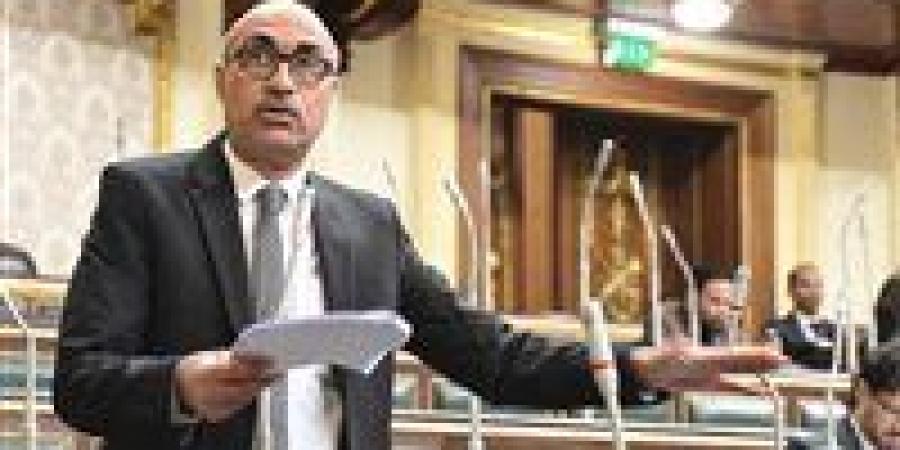 النائب إيهاب منصور يطالب بوقف إخلاء المؤسسات الثقافية: "احنا بلد حضارات مش حضانات"