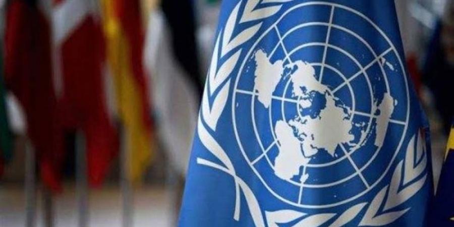 الأمم المتحدة: لدينا شواهد كثيرة على حجم المعاناة والمجاعة في غزة