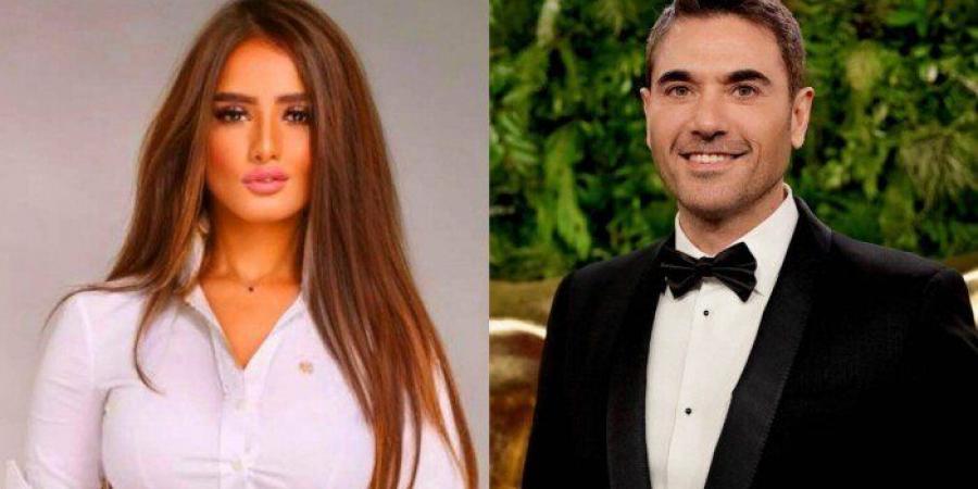 موعد أولى جلسات استئناف زينة على حكم إلزام أحمد عز بدفع 80 ألف جنيه شهريا