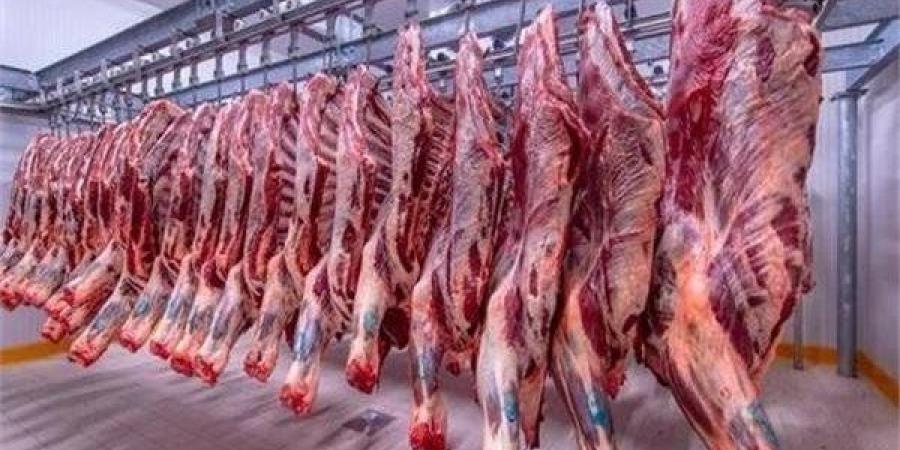 مصر.. أسعار اللحوم الطازجة والمجمدة داخل المجمعات الاستهلاكية