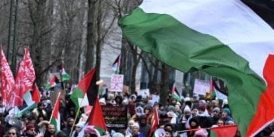 برلمانيون إيطاليون يحتجون فى رفح ضد إسرائيل ويطالبون بحظر السلاح لتل أبيب