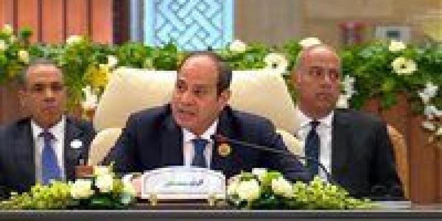 نواب: الرئيس السيسي وضع خارطة طريق واقعية لأمن المنطقة واستقرارها في قمة بغداد