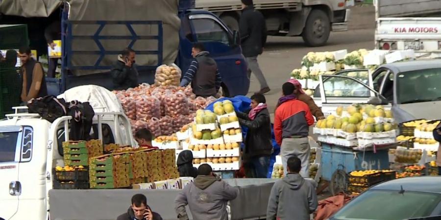 3828 طنا من الخضار والفواكه ترد للسوق المركزي اليوم