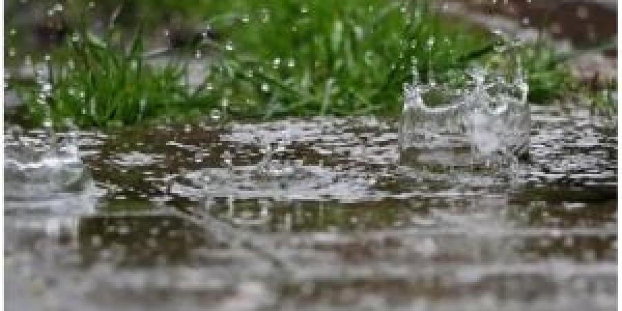 الأرصاد: الموسم المطري ضعيف والأغوار الجنوبية الأفضل أداءً بنسبة 79%