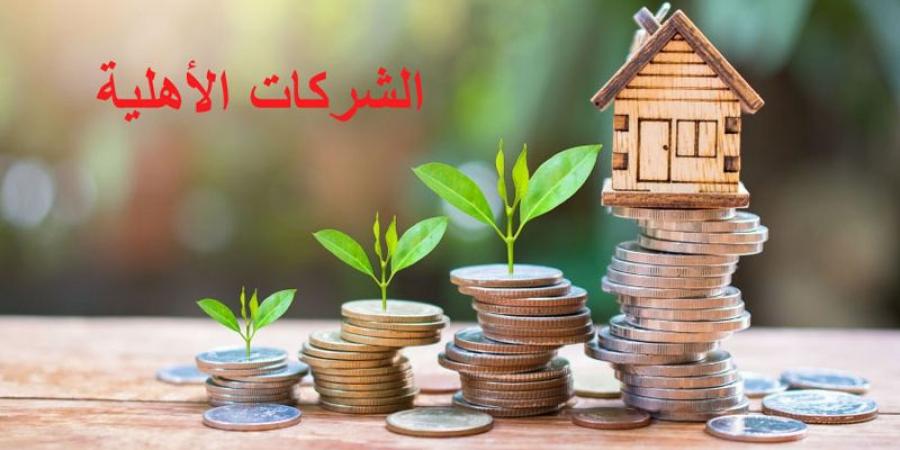 بعد أزمة شركة «الانطلاق» تعطيل الشركة النسائية «دوز الأولى»...مشروع الشركات الأهلية في قبلي يعاني الصعوبات ؟