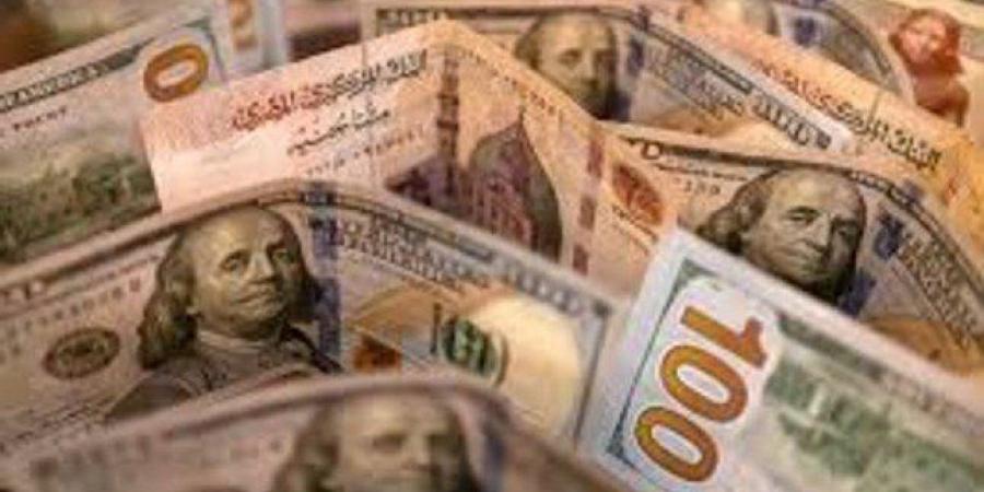أسفل الـ50 جنيهًا.. سعر الدولار في مصر اليوم الثلاثاء 20 مايو 2025
