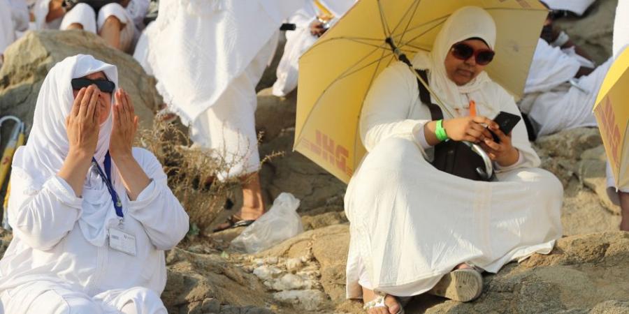 رئيس بعثة الحج المصرية: 78 ألف حاجة مصرى سيقفون على عرفات هذا الموسم