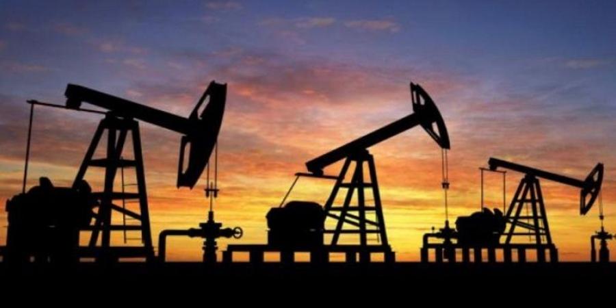 وزارة الصناعة والمناجم والطاقة تلغي امتياز استغلال المحروقات "بيرصة"