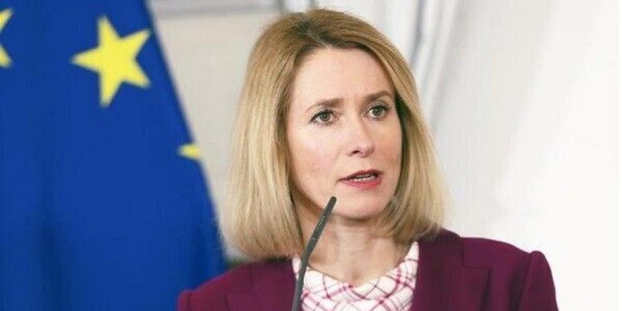 الاتحاد الأوروبي بعد إطلاق النار الإسرائيلي في الضفة الغربية: تهديد حياة الدبلوماسيين غير مقبول