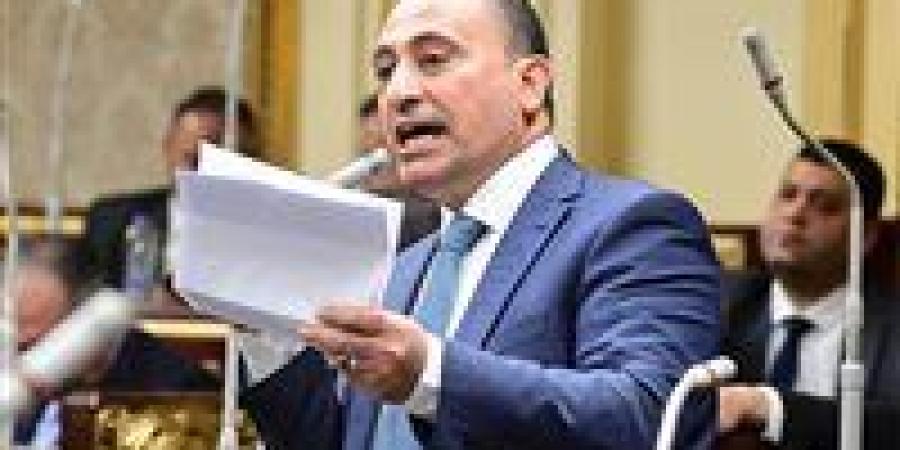 النائب محمد زين الدين: توجيهات الرئيس للحكومة خلال موسم حصاد القمح هامة للنهوض بالزراعة وتحقيق الاكتفاء الذاتي وتقليل فاتورة الاستيراد