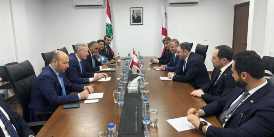 رجي بحث مع وفد برلماني من جورجيا تعزيز العلاقات الثنائية: لممارسة الضغوط على إسرائيل