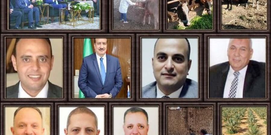 خبراء الاقتصاد: القيادة السياسية تحرص علي تحقيق الأمن الغذائي