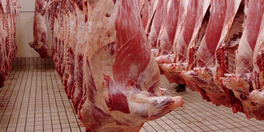 لتعديل العرض في السوق: شركة اللّحوم ستوفر كمّيات من لحوم الضّأن والأبقار