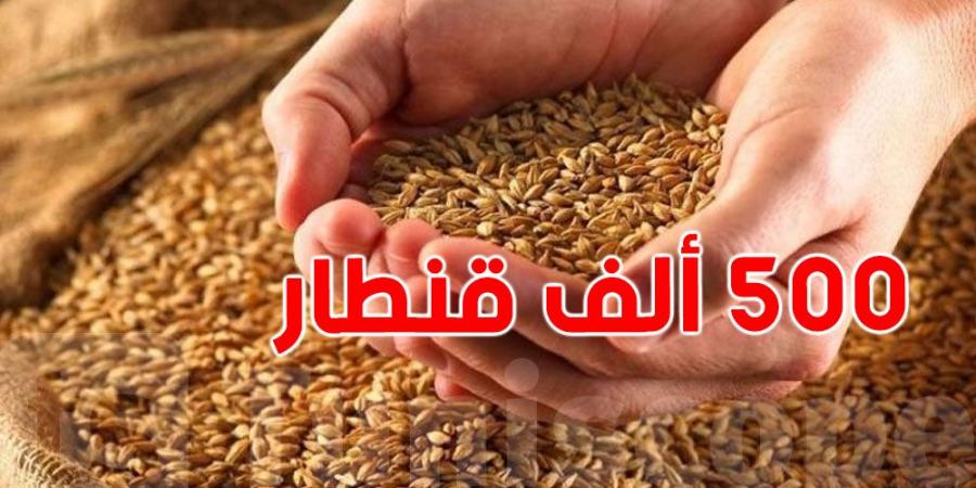 وزارة الفلاحة توفر 500 ألف قنطار من بذور الموسم المقبل وتدعو الفلاحين للاستعداد المبكر