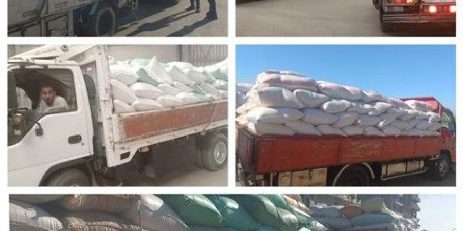 توريد 250 ألف طن قمح بالبحيرة