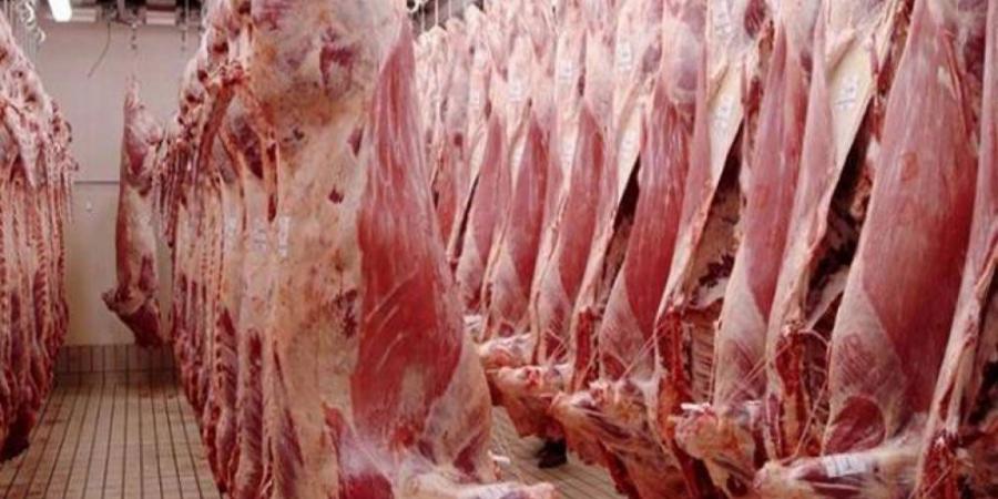 شركة اللّحوم ستوفر كمّيات من لحوم الضّأن والأبقار في إطار تعديل العرض بالسّوق بمناسبة عيد الاضحى