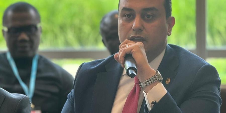 رئيس الرعاية الصحية يدعو لإنشاء منصة تربط الدول الإفريقيةببنوك التنمية