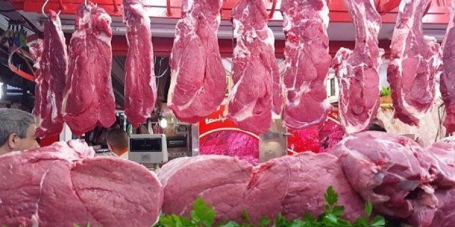 أسعار اللحوم اليوم الخميس 22 مايو 2025.. العِرق الفلتو بكام؟