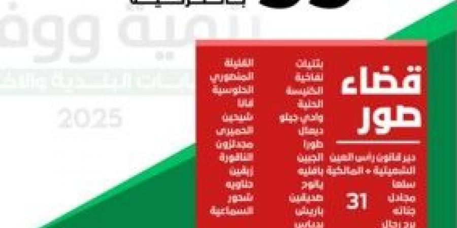 حركة أمل: 55 بلدية من أصل 99 فازت فيها لوائح التنمية والوفاء بالتزكية في أقضية صور وبنت جبيل ومرجعيون