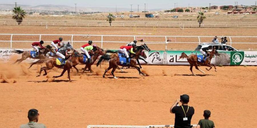 اختتام منافسات السباق الدوري الثالث للخيول العربية الأصيلة في حماة