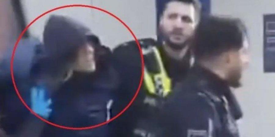 بالفيديو.. لحظة القبض على منفذة هجوم الطعن في هامبورغ
