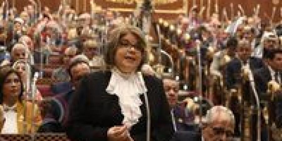 وكيلة مجلس الشيوخ تؤكد: التعديلات الانتخابية الجديدة تُعزز التمثيل العادل وتدعم الاستقرار الوطني