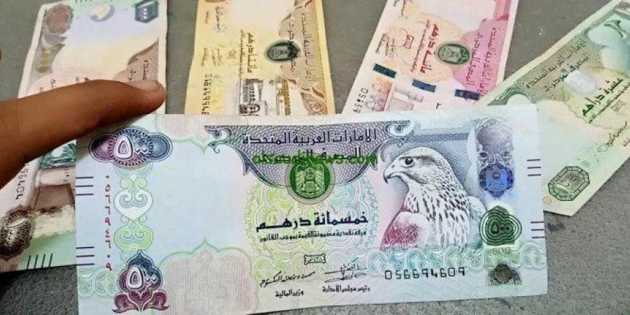 الدرهم الاماراتى يسجل 13.56 فى البنك المركزى المصرى منتصف تعاملات اليوم