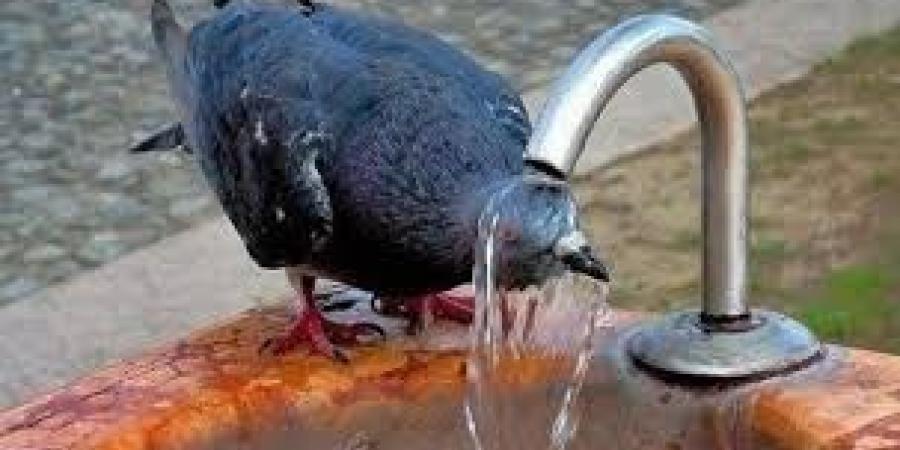 أجواء حارة نسبياً في معظم المناطق مع انخفاض تدريجي اعتباراً من الثلاثاء