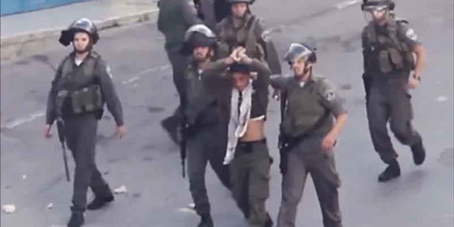 من بروتوكول البعوض، إلى الدّبابير .. الصهاينة يتفنّنون في استخدام الفلسطينيين دروعا بشرية