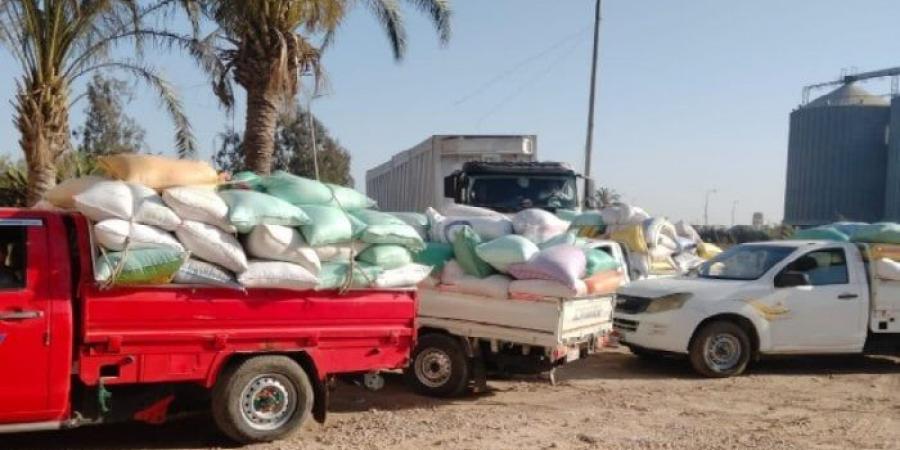 توريد 261 ألف طن قمح لشون وصوامع البحيرة