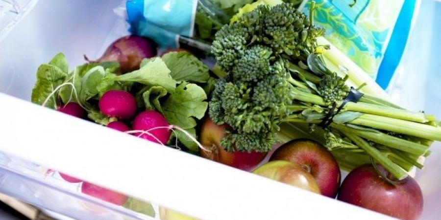 خطوات فعالة للحفاظ على الخضروات مع ارتفاع درجات الحرارة