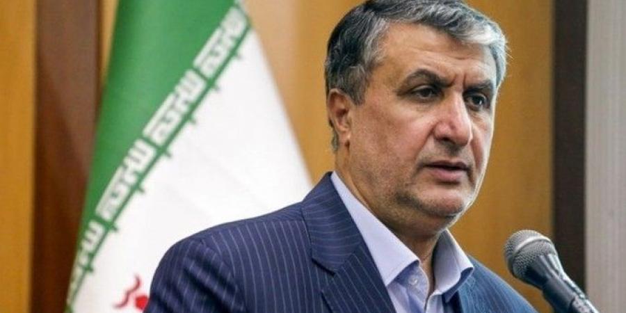 رئيس منظمة الطاقة الذرية الإيرانية: نشهد بعض التقدم في المفاوضات غير المباشرة مع الولايات المتحدة